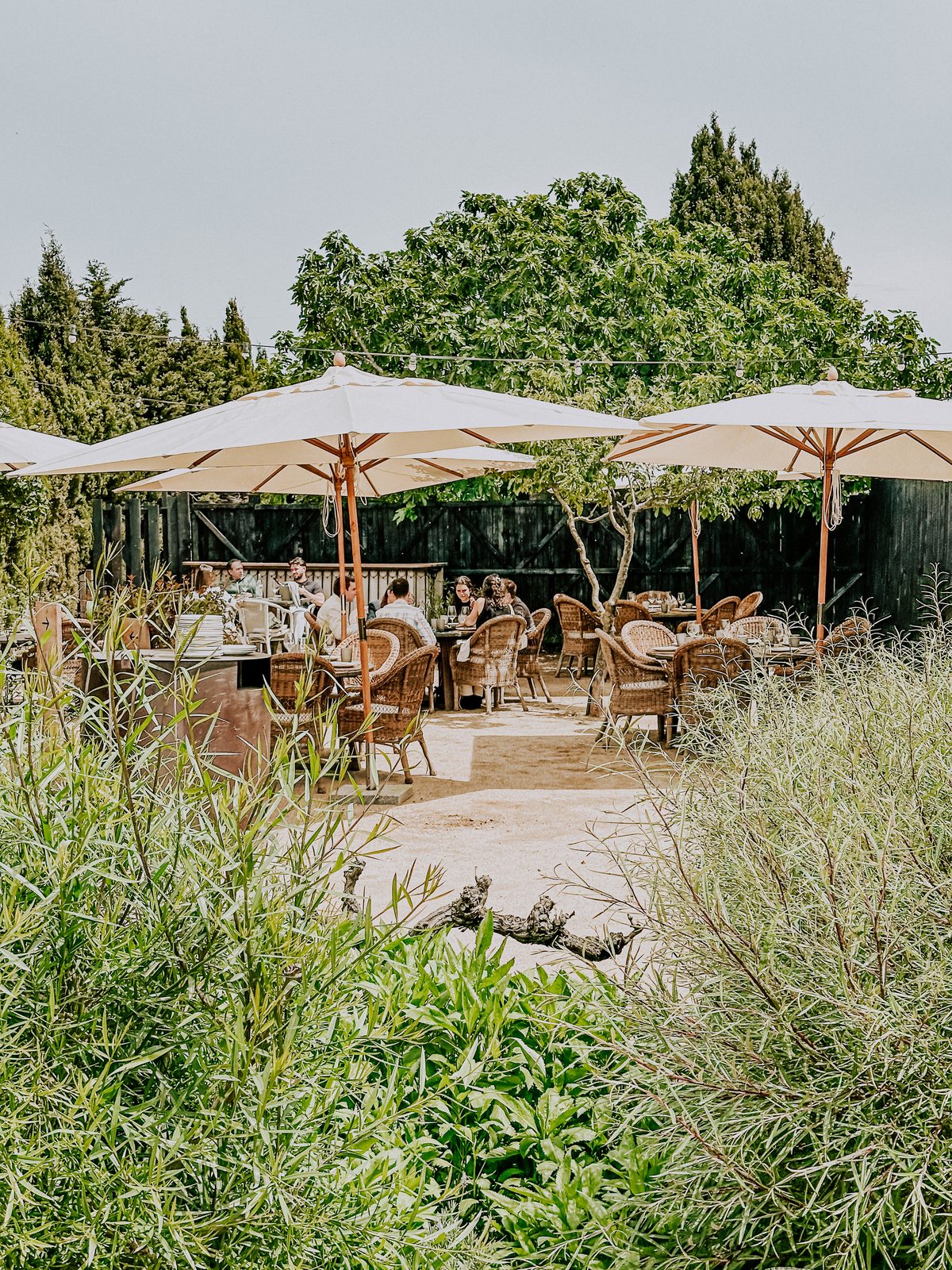 Shaded restaurant terrace with parasols and wicker chairs in a lush Mediterranean garden